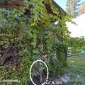 55 Trotter Ln - Photo 73