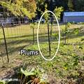 55 Trotter Ln - Photo 76