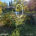 55 Trotter Ln - Photo 77