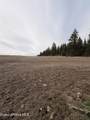 TBD Sandhill Rd. - Photo 21