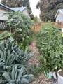 1709 7th St - Photo 50