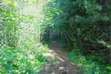 NKA Slippery Slope Trail - Photo 13