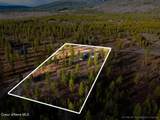 38 Cannon Lane - Photo 41