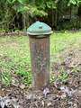 3897 Upper Gold Creek Rd. Rd - Photo 36