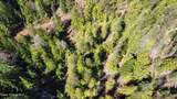NKA Alder Creek - Photo 13