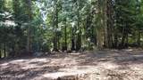 NKA Alder Creek - Photo 7
