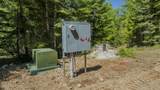 TBD Kreiger Creek Rd Lot 2 - Photo 12
