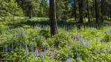 TBD Kreiger Creek Rd Lot 2 - Photo 5