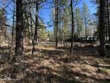 1733 Last Chance Rd - Photo 23