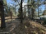 1733 Last Chance Rd - Photo 25