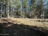 1733 Last Chance Rd - Photo 26
