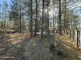 1733 Last Chance Rd - Photo 28