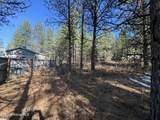 1733 Last Chance Rd - Photo 29