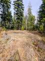 845 Cougar Rd - Photo 79