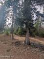 845 Cougar Rd - Photo 83
