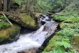 69 Boreal Way - Photo 5