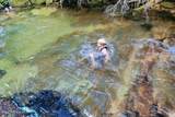 69 Boreal Way - Photo 6