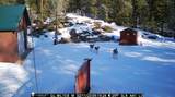 5600 Spirit Lake Cuttoff Rd - Photo 35