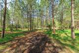 36524 Canyon Rd - Photo 5