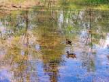 36524 Canyon Rd - Photo 68