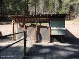 1034 Saint Joe River Rd - Photo 29