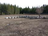 158 Fiedler Ln - Photo 22