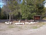 158 Fiedler Ln - Photo 25