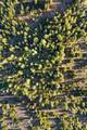 8072 Radmer Rd - Photo 58