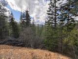  Fork French Gulch Rd - Photo 7