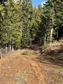  Fork French Gulch Rd - Photo 8