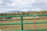 6493 Trinity Ln - Photo 13