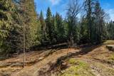 300 Sunny Shadows Lane - Photo 42