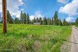 100 Timberline Drive - Photo 11