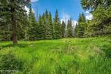 100 Timberline Drive - Photo 14