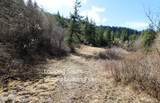 Tract 5 Thimbleberry Ln - Photo 14