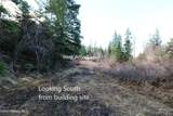Tract 5 Thimbleberry Ln - Photo 15