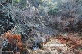 Tract 5 Thimbleberry Ln - Photo 16