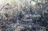 Tract 5 Thimbleberry Ln - Photo 18
