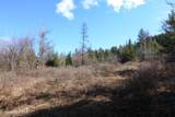 Tract 5 Thimbleberry Ln - Photo 19