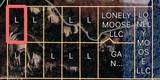 Lot 1 Lone Moose Dr - Photo 3