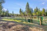 517 Songbird Way - Photo 34