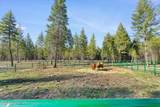 517 Songbird Way - Photo 36