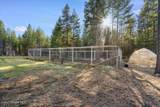 517 Songbird Way - Photo 37