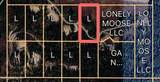  Lot 5 Lone Moose Dr - Photo 3