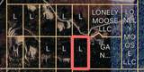  Lot 9 Lone Moose Dr - Photo 3