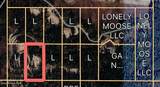  Lot 12 Lone Moose Dr - Photo 3