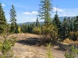 10368 Bella Ridge Dr - Photo 15
