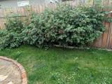 235 5th St - Photo 20