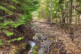 718 Slippery Slope Lot 2 - Photo 1