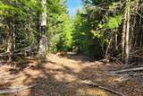 718 Slippery Slope Lot 2 - Photo 12